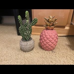 pink pineapple and cactus succulent